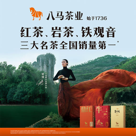 八马茶业 | 浓香铁观音原味茶饮料高香红茶原味茶饮料500ml*15瓶/箱 商品图6