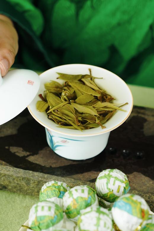 【2025年昔归古树龙珠】昔归忙麓山核心产区 商品图10