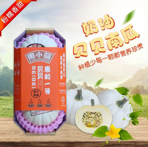 南小萌，白皮奶油贝贝南瓜，肉质细嫩无丝，甜度高，入口即化！4粒装 商品图3