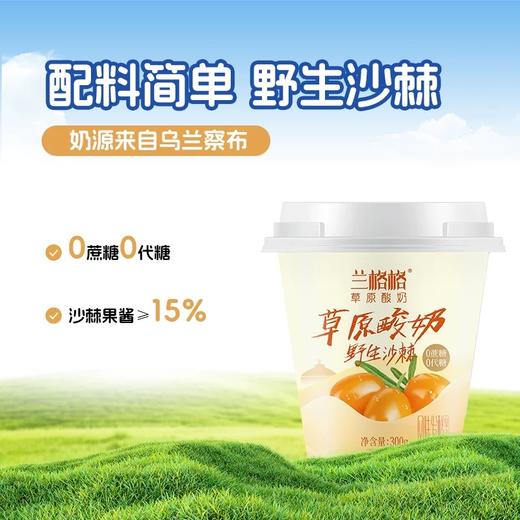 【BF】兰格格草原酸奶（野生沙棘） 商品图0