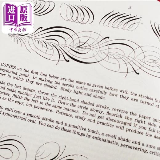 【中商原版】Ornate Pictorial Calligraphy 进口艺术 花鸟装饰 英文练字花体字字帖圆体字 商品图3
