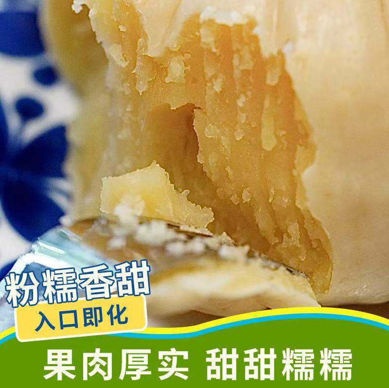 南小萌，白皮奶油贝贝南瓜，肉质细嫩无丝，甜度高，入口即化！4粒装