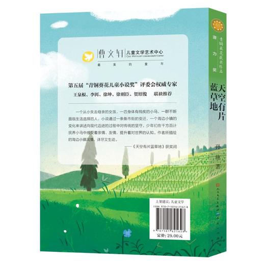 天空有片蓝草地 商品图1