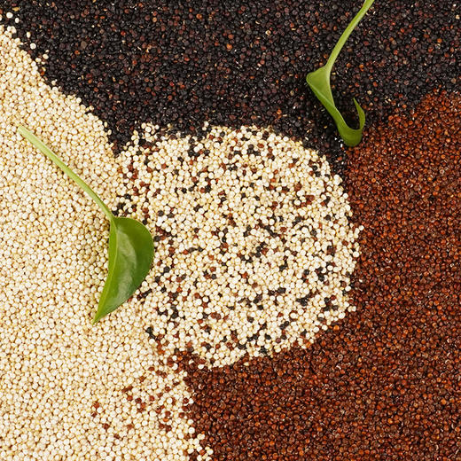 溢田三色藜麦白藜麦红藜麦黑藜麦300g/盒谷物粗粮 商品图3