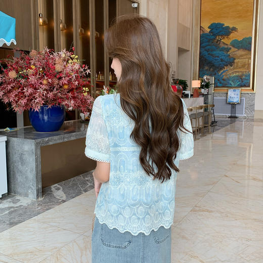 【清仓超15天不保价】奢姿大码女装2025夏季胖妹妹法式V领刺绣复古不规则遮肉时尚上衣9952153451 商品图3