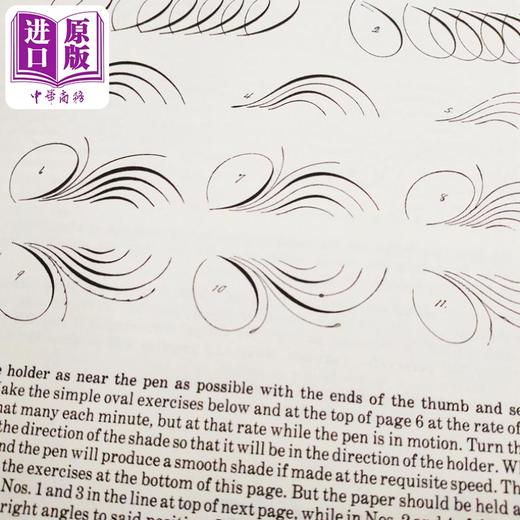 【中商原版】Ornate Pictorial Calligraphy 进口艺术 花鸟装饰 英文练字花体字字帖圆体字 商品图4