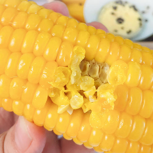 玉到米黄糯玉米段（长度7-9厘米） 商品图2
