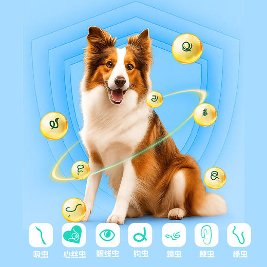 宠安仕米尔贝肟吡喹酮片3粒/盒 狗狗专用广谱体内驱虫药驱绦虫【全渠道销售】 商品图3