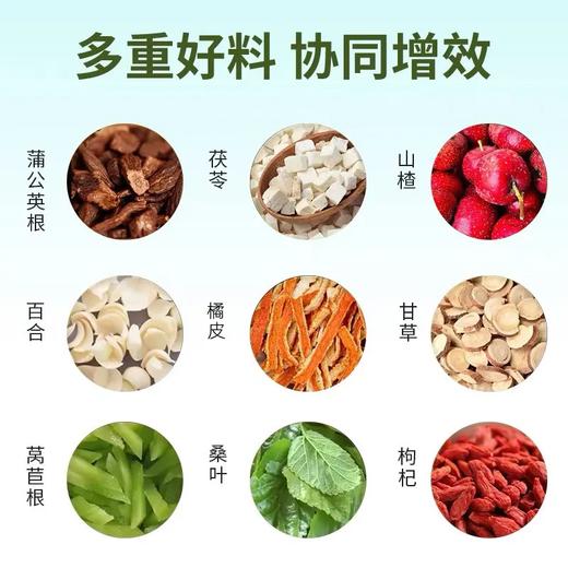 <有书甄选>养生茶 南京同仁堂蒲公英百合茯苓茶结节通茶健康养生茶 商品图1