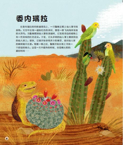 DK狂野星球 商品图2