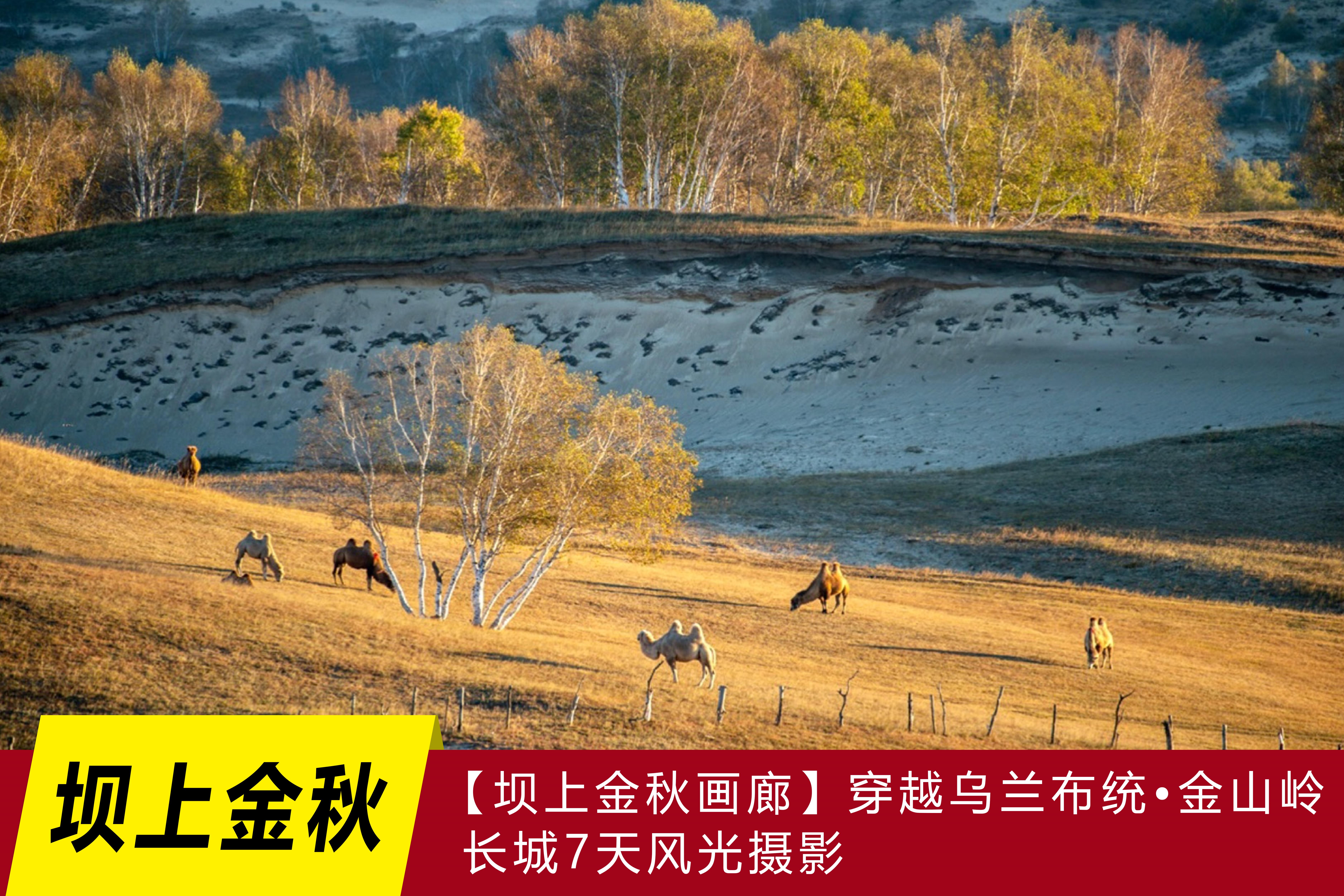 9月【坝上金秋画廊】穿越乌兰布统•金山岭长城7天风光摄影