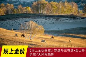 9月【坝上金秋画廊】穿越乌兰布统•金山岭长城7天风光摄影