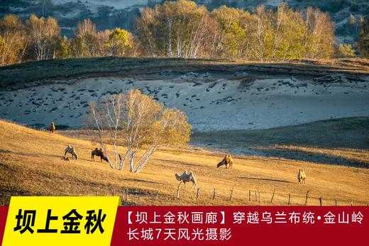 9月【坝上金秋画廊】穿越乌兰布统•金山岭长城7天风光摄影 商品图0