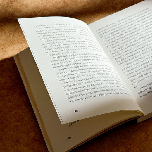 做精神富足的教师 特色学校聚焦丛书 教师育人能力提升路径 商品图8