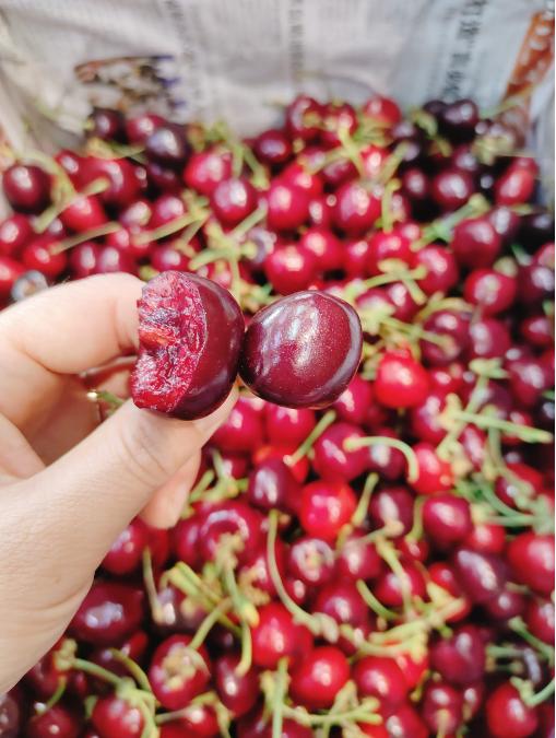 俄八大樱桃一斤 商品图2