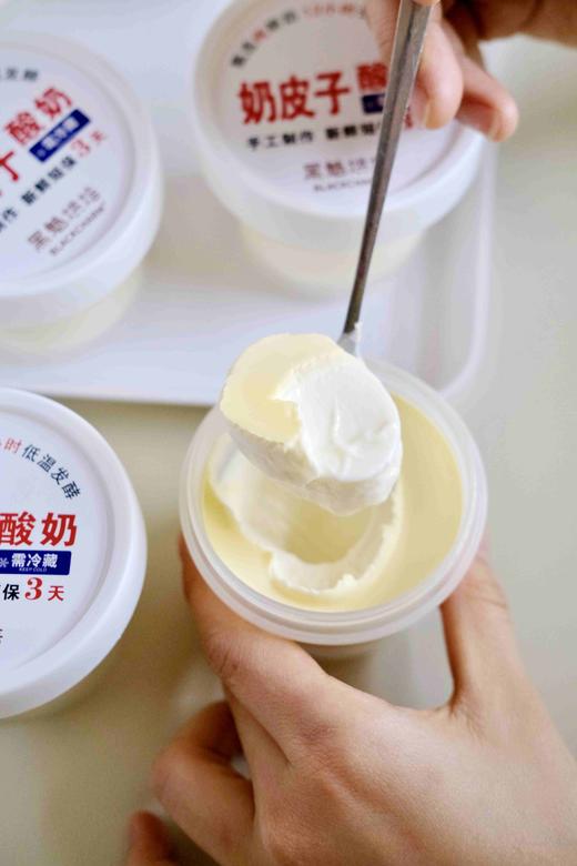奶皮子酸奶 商品图1