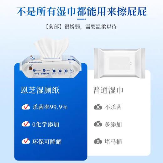 恩芝湿厕纸 150mm×200mm【宝库优选】 商品图3