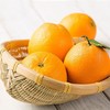 赣南橙 商品缩略图0