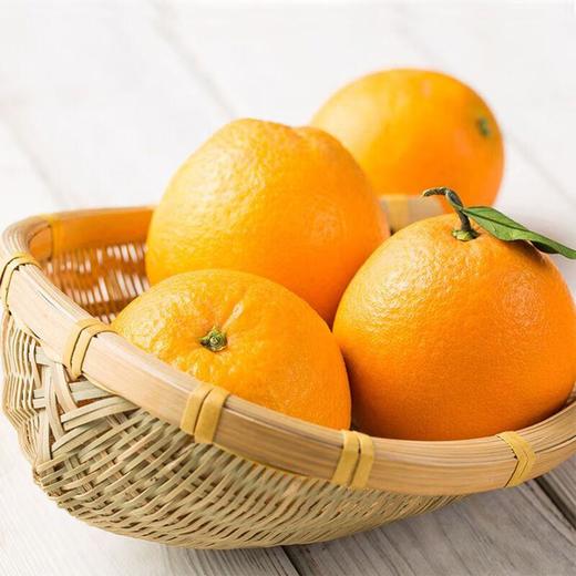 赣南橙 商品图0