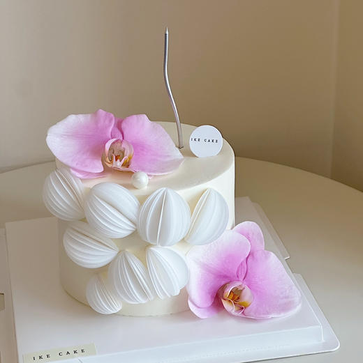 蝴蝶兰E 商品图0