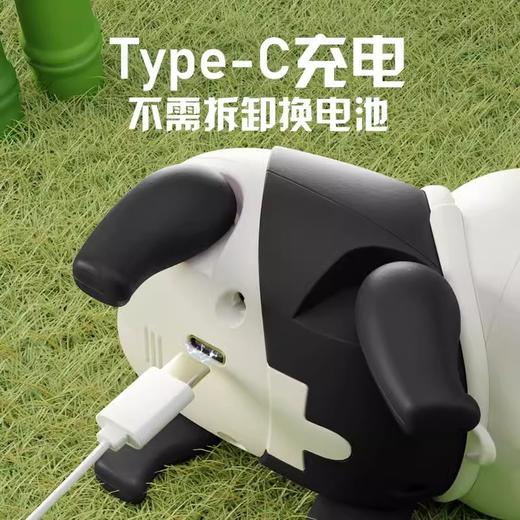 【出门遛猪啦~ 赠牵引绳】会走路的小猪 动感音乐 四肢走路 牵引奔跑 学爬好帮手 快乐不卡顿 儿童玩具 商品图4