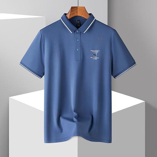 【7A抗菌蚕丝棉】罗蒙男士夏季休闲商务短袖polo衫男士短袖t恤 商品图3