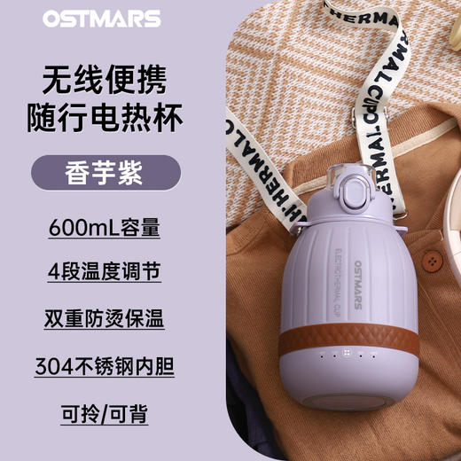 【电热水杯】便携式烧水杯 烧水壶旅行用户外小型电煮杯 304不锈钢内胆 商品图5