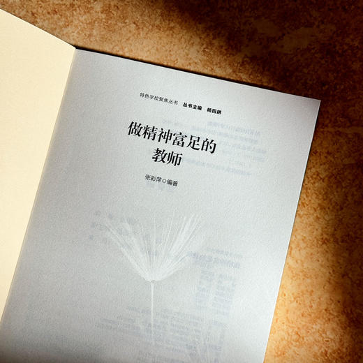 做精神富足的教师 特色学校聚焦丛书 教师育人能力提升路径 商品图5