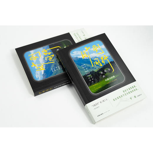 [罗翔作序推荐] 旷野同行：法科生的心路与抉择 令人心动的offer 罗仪涵 陈可儿 王骁 李浩源 陈禹橦 宋佳欣 刘政 杨格著 法律出版社 商品图9