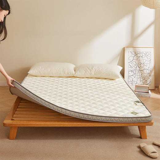 自然醒艾棉乳胶记忆棉立体床垫单双人加厚床褥家用学生宿舍软垫棉垫子LN 商品图12