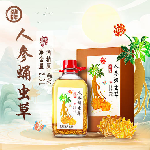 【新品】2.3L40度劲牌人参蛹虫草酒 商品图0