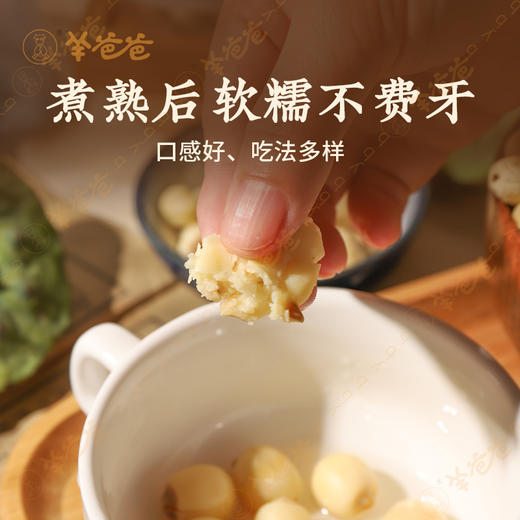 【白莲子】江西白莲子 自然烘干 饱满粉糯 煲汤煮粥好搭档 商品图3