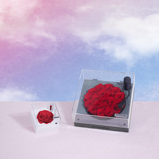 【留声机】ROSEONLY诺誓 永生玫瑰花礼盒 音乐留声机  小号 大号   红色 粉色   生日情人节 结婚 送爱人礼物 商品图8