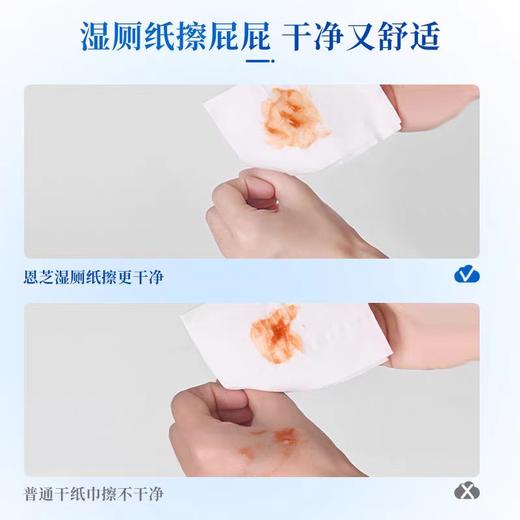 恩芝湿厕纸 150mm×200mm【宝库优选】 商品图4