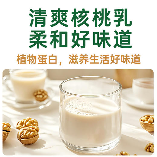 绿岭-原香核桃乳饮品240ml*20罐 植物蛋白饮料 商品图3