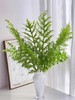 精品花材凤尾蕨一扎 商品缩略图0