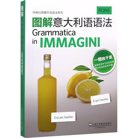 图解意大利语语法