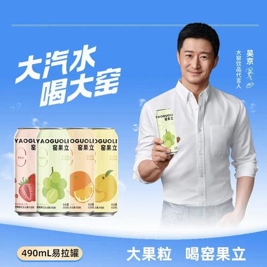 大窑窑果立复合果汁饮料 490ml/罐 商品图4