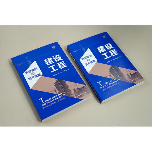 建设工程典型案例与实务精要 袁海兵 李妃 乃露莹著 法律出版社 商品图1