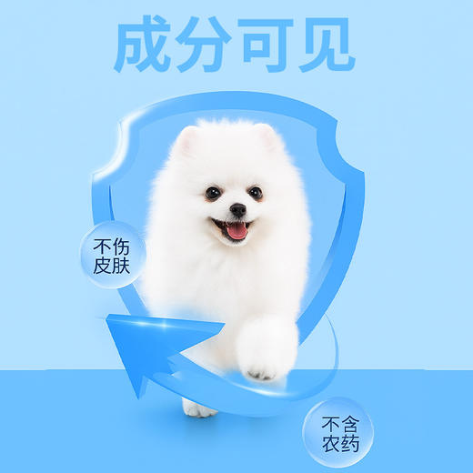 宠安仕米尔贝肟吡喹酮片3粒/盒 狗狗专用广谱体内驱虫药驱绦虫【全渠道销售】 商品图2