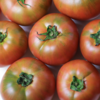 有机河北草莓西红柿 | Organic strawberry tomato 商品缩略图2