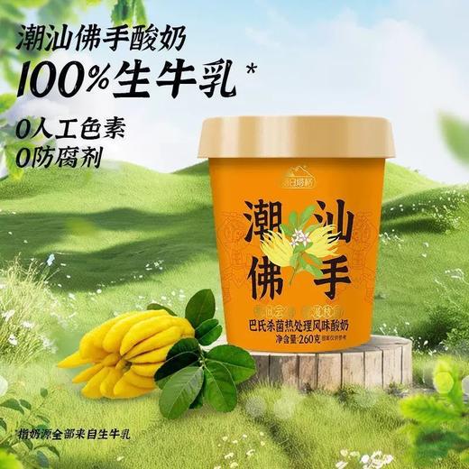 【BF】塘日塔格佛手酸奶 商品图1