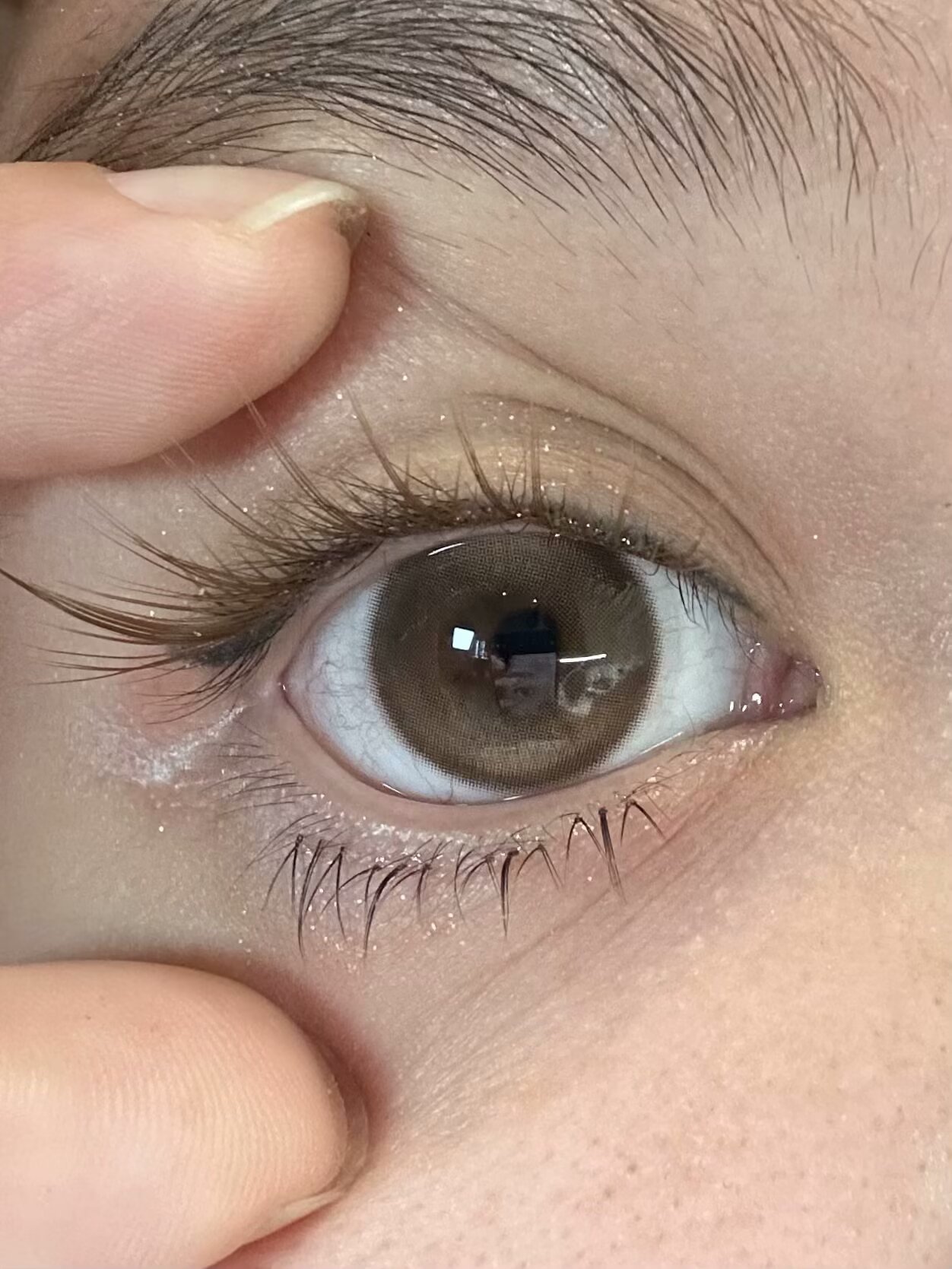 Kaylens日抛美瞳 天生宅妹 14.5mm