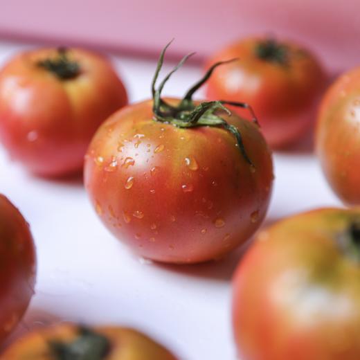 有机河北草莓西红柿 | Organic strawberry tomato 商品图4