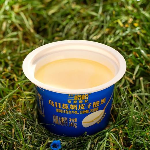 兰格格草原酸奶 乌日莫奶皮子酸奶 140g/盒 商品图0