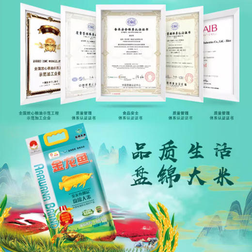 金龙鱼  御品盘锦大米5KG 商品图4