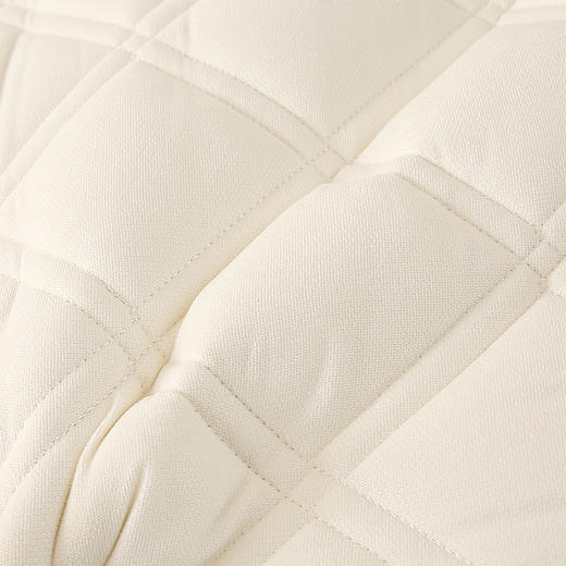 自然醒艾棉乳胶记忆棉三明治学生床垫家用卧室榻榻米垫学生宿舍租房单人睡垫LN 商品图4