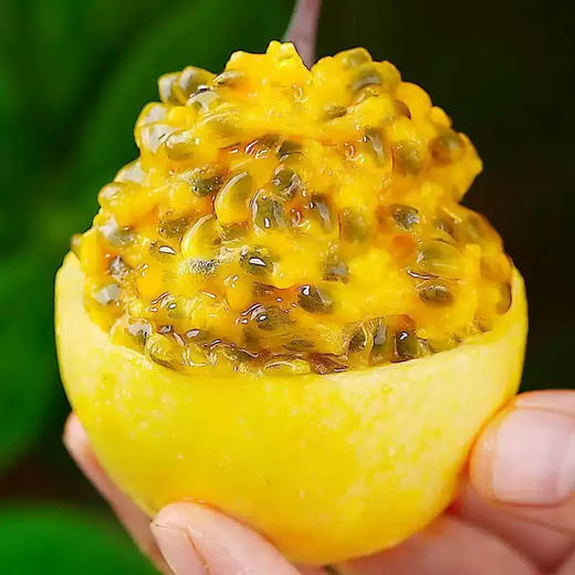 广西钦密9号黄金百香果香甜可口 商品图1