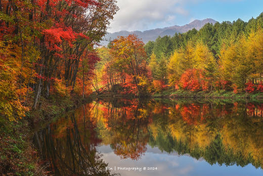 东北红叶盛宴丨四方顶子、本溪（老边沟&大石湖）、“中华枫叶大道”、科尔沁五角枫7天摄影团 商品图8