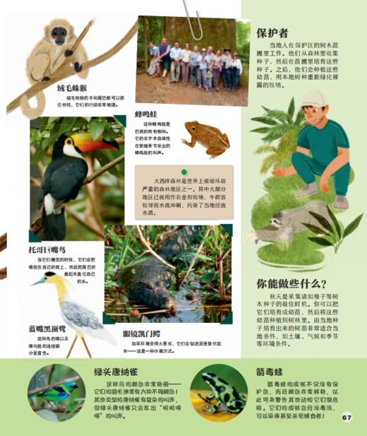 DK狂野星球 商品图3